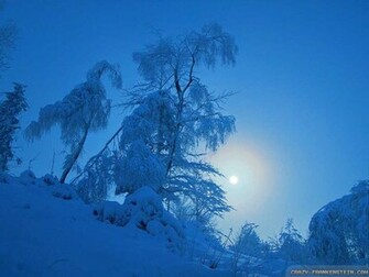 Wallpaper Nice Winter Sun