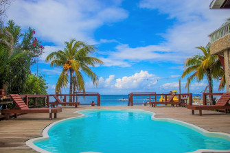 Photos Of Coconut Tree West Bay Roatan Image