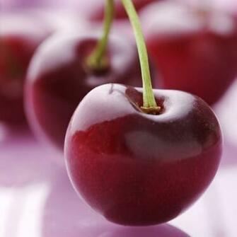 Cherry The iPad Wallpaper Background Best