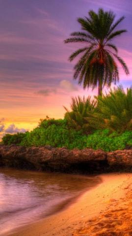 Beautiful Nature iPhone Wallpaper Summer
