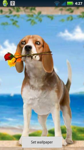 Puppy Love Live Wallpaper Has A Gorgeous Carrying Roses Coming