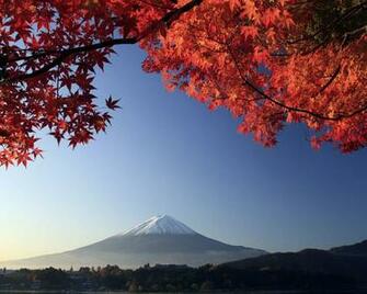 Wallpaper Summer Fairy Tale Landscape