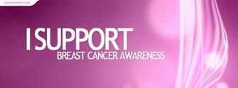 The Boobies I Support Breast Cancer Awareness