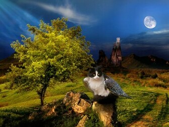 Fantasy Nature Wallpaper Yvt Pixel HD