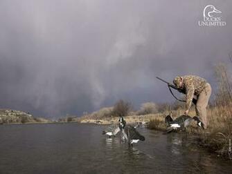 Duck Hunting Background Image Amp Pictures Becuo