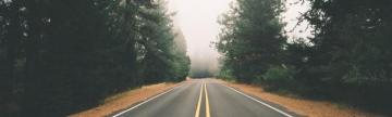 Forested Road T S Online Marketing Linkedin Background Image