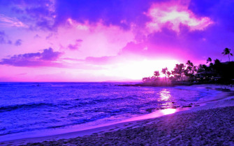 Pretty Scenery Background Wallpaper