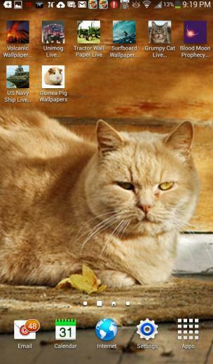 Grumpy Cat Live Wallpaper Android Apps On Google Play
