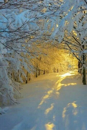 Sunrise In Italy Snow Scenes