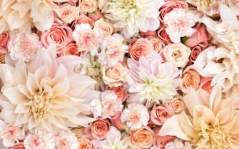 Spring Aesthetic Wallpaper