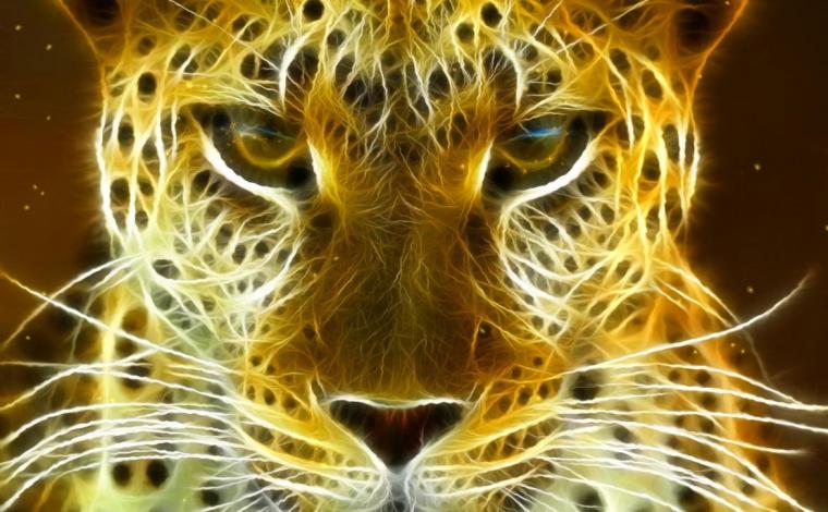 Wallpaper HD Desktop Online Animated