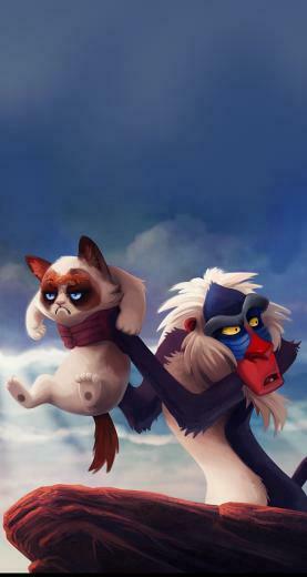 iPhone Wallpaper Entertainment Ios8 Animation Grumpy Cat