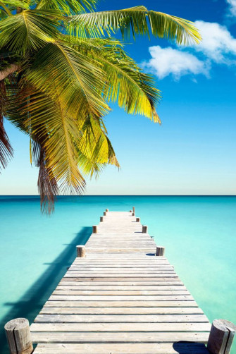 Paradise Dock iPhone Wallpaper HD Beautiful Beaches Beach
