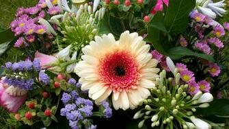 Spring Flower Bouquet Barbaras HD Wallpaper