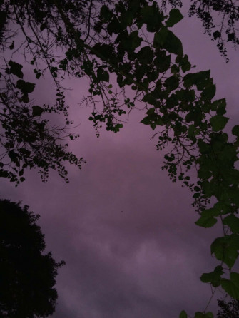 Aesthetic Nature Wallpaper