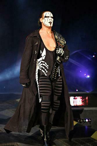 Sting Wcw Image Tna Champ Wallpaper And Background