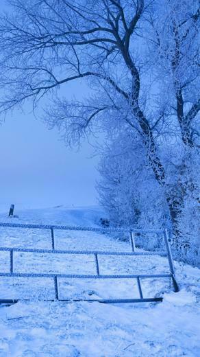 iPhone Wallpaper HD Snow Scenery Background