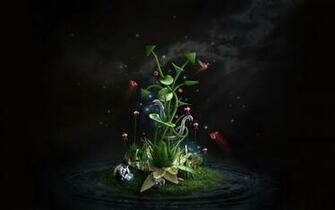 Superb Life Desktop Pc And Mac Wallpaper