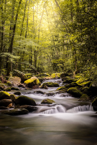 River In The Rainforest 4e14un4mh18e8rt4 Wallpaper