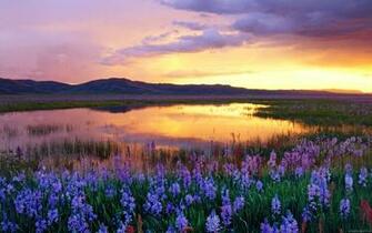 Landscape HD Wallpaper Full 1080p Pictures