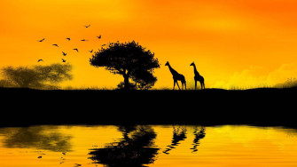 African Art Wallpaper