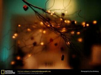 Of The Day Picture Photography Wallpaper National Geographic