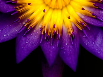 Books Seem Like Magic Half A Flower Wallpaper Another Look Back At