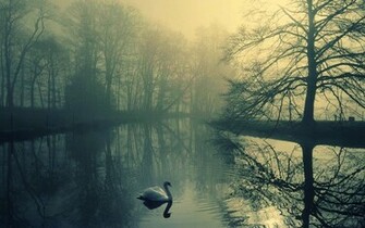 Wallpaper Loneliness Best HD Desktop Widescreen
