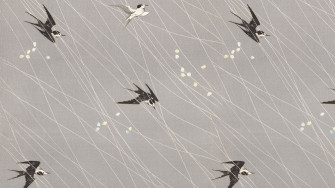 Swallow Bird Patterned HD Wallpaper
