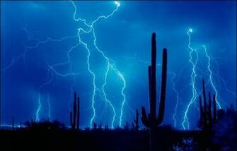 Blue Thunder