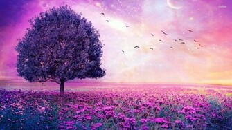 Purple Haze Photos Image Ravepad The Place To Rave