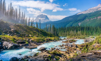 Bright Nature Pictures Image