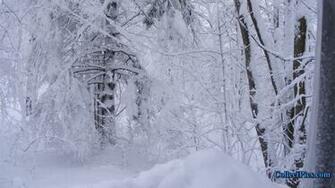 Snow Storm 1080p Wallpaper HD