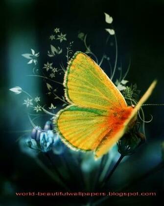 Beautiful Wallpaper Butterflies