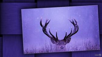 Deer Wallpaper For Desktop