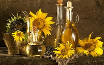 Still Life Computer Wallpaper Desktop Background Id