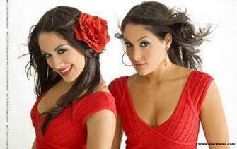 The Divas Bella Twins Brie Nikki Iunie