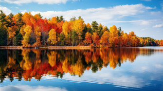 Fall HD Wallpaper And Background