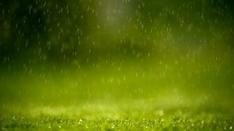 Raindrops Wallpaper