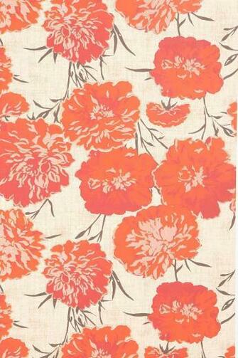 How About We Wallpaper Interior Design Pro