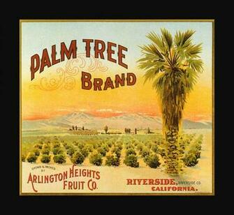 Tree Brand Oranges Vintage Fruit Crate Labels Wallpaper Image