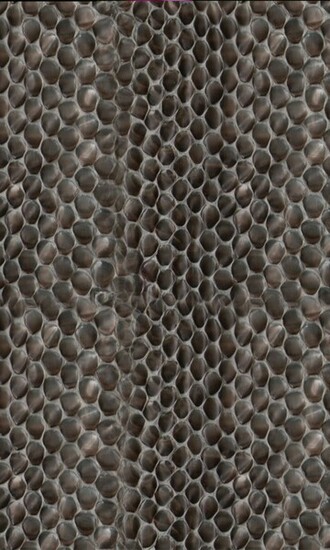 Wallpaper For Blackberry Black Leather Snake Personal