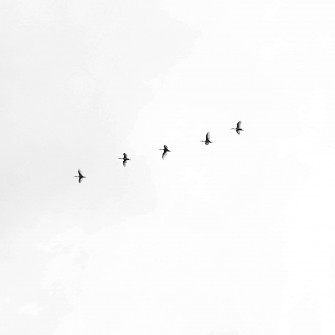 Black And White Aesthetic Pc Wallpaper