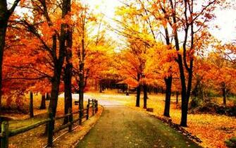Beautiful Background Wallpaper HD Topwallpaper