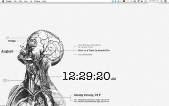 Human Anatomy Wallpaper Desktop Jpeg