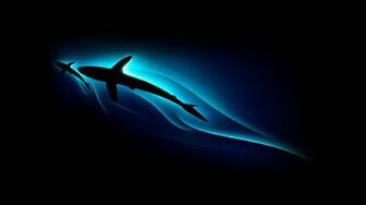 Cool HD Pictures Wallpaper In Others Imageci
