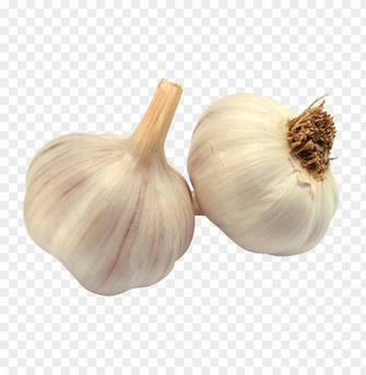 Garlic Png Image Background Toppng