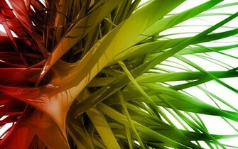Rasta Wallpaper HD Background Wallawy