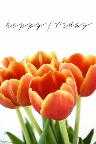 Happy Friday Wallpaper Desktop