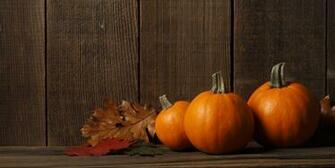 Thanksgiving Background Oswegoland Park District